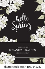 Hello spring concept for card with blooming cherry isolated over black background. Vector illustration.