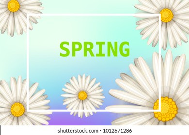 Hello spring, daisies flowers background, cartoon style, vector, illustration, flyer, banner, isolated