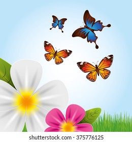 hello spring design 