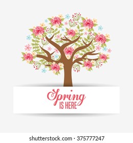 hello spring design 