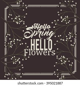 hello spring design