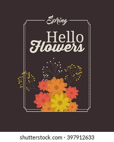 hello spring design 