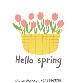 Hello spring design with pink flowers in basket. Template for cards, posters, postcards, prints and stickers. Isolated vector illustration