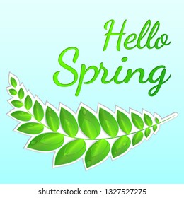 Hello Spring. 
Spring design. Sprig with green leaves and water drops. For greeting card, invitation template. Template background. Vector illustration.