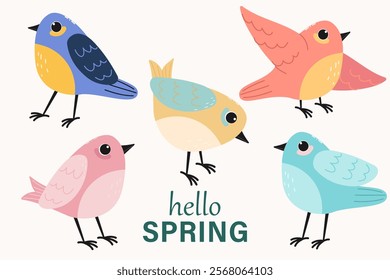 Hello spring. Different birds set. Floral springtime hand drawn illustration.