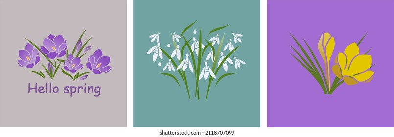 Hello spring with the first flowers blossom  snowdrops and crocuses, vector isolated elements