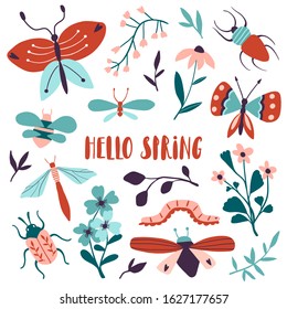 Hello spring floral card, banner. Doodle insects and flowers set. Butterflies and moths with plants. Collection with cute cartoon modern flat illustration. Hand drawn decorative isolated vector