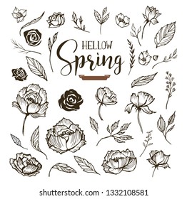 Hello Spring floral design elements with roses and peonies