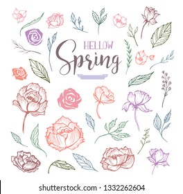 Hello Spring floral design elements with roses and peonies