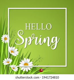 Hello spring flower frame on green vector template