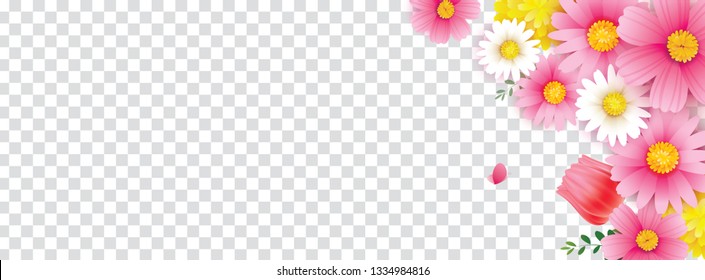 Hello spring flower frame with transparent isolated background. Use for cover, template, card design.