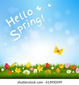 Hello Spring With Gradient Mesh, Vector Illustration