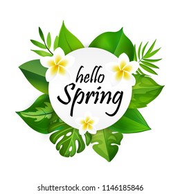 Hello Spring greeting card with 3d tropical palm leaves and frangipani flowers isolated on white bacground. Vector illustration EPS10