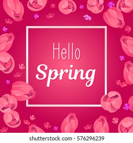 Hello Spring greeting card. Abstract Seasonal banner. Holiday frame, text, flowers. Vector template with fresh colorful background. Festive frame, pink tulips. Mother's day, 8 March, Easter design