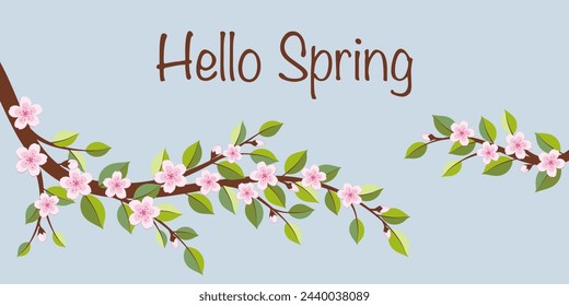 Hello Spring. Greeting card with cherry blossom branches.