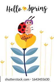 Hello spring. Greeting card with cute cartoon ladybug and flowers. Use for spring season cards, greeting or for social media.