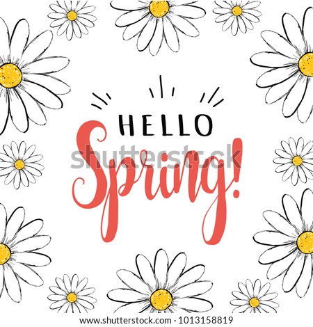 Hello spring. Hello spring greeting card with daisies. Hello Spring vector illustration. 