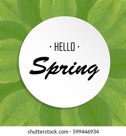 Hello Spring greeting card with green leaves and white round frame