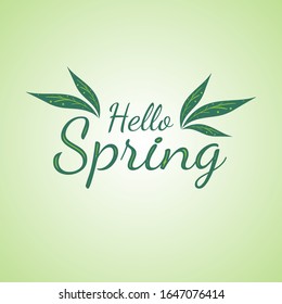 Hello Spring greeting card with hand drawn leaves in minimal flat design style vector illustration. Perfect for greeting card, background, backdrop. eps10