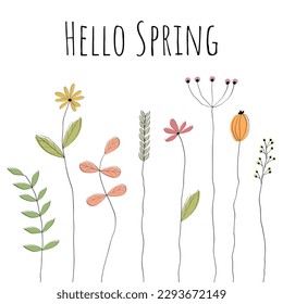 Hello Spring. Greeting card with lovely drawn flowers.