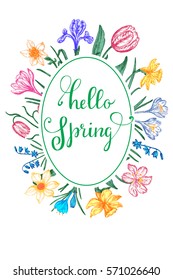 Hello spring greeting card. The original lettering and spring bulb flowers hand-drawn.