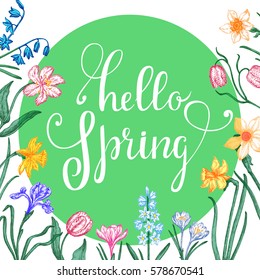 Hello spring greeting card. The original lettering and spring bulb flowers hand-drawn.