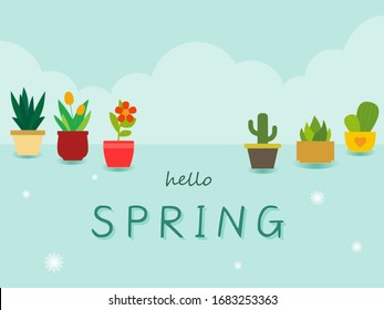 Hello spring greeting card with plant, cactus  and flower in pot on cloud with blue color background for invitation to  template, vintage banner, poster, background and label tag spring sale.