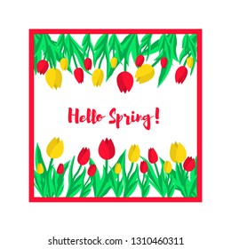 Hello spring greeting card. Spring tulips. Vector illustration