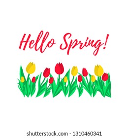 Hello spring greeting card. Spring tulips. Vector illustration