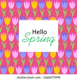 Hello Spring greeting card with tulips on pink background.