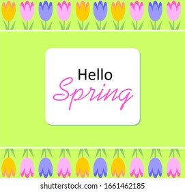 Hello Spring greeting card with tulips