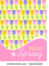 Hello Spring greeting card with tulips