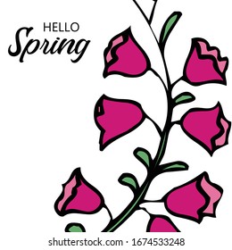 Hello Spring Greeting Card Vector 