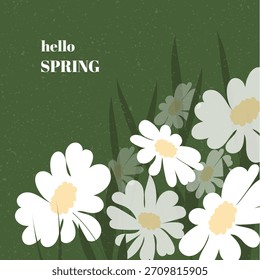 hola primavera, postal de felicitación de primavera, fondo verde, margaritas blancas, sentimiento ligero y fresco