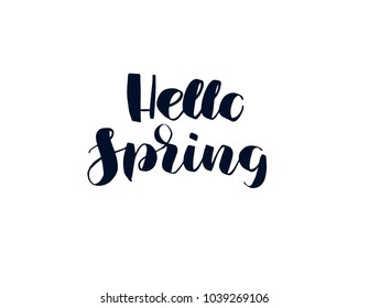 Hello spring hand drawn brush lettering, isolated on background. Vector illustration card. 