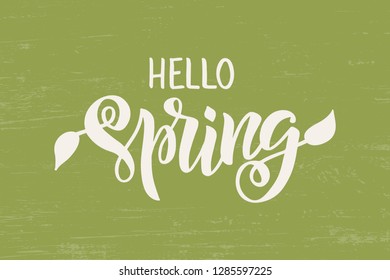 Hello Spring - hand drawn brush lettering. Spring season advertising. Template for greeting card, invitation, banner, badge, web, poster. Vector illustration on green textured background