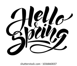 Hello Spring. Hand drawn calligraphy and brush pen lettering. design for holiday greeting card and invitation of seasonal spring holiday. black on white