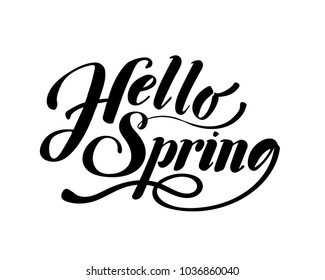 Hello Spring. Hand drawn calligraphy and brush pen lettering. design for holiday greeting card and invitation of seasonal spring holiday. black on white