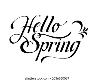 Hello Spring. Hand drawn calligraphy and brush pen lettering. design for holiday greeting card and invitation of seasonal spring holiday. black on white