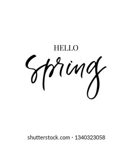 Hello Spring. Hand drawn calligraphy and brush pen lettering. design for holiday greeting card and invitation of seasonal spring holiday. black on white