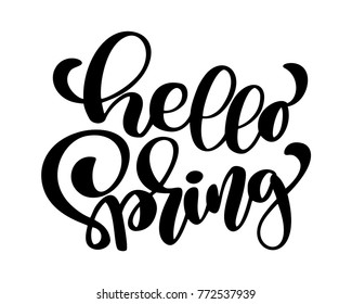 Hello Spring. Hand drawn calligraphy and brush pen lettering. design for holiday greeting card and invitation of seasonal spring holiday. Fun brush ink typography for photo overlays, t-shirt print