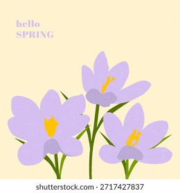 Hola Spring. Tarjeta dibujada a mano con azafates para la decoración de la primavera, Día de las Madres, Pascua. Cartel de primavera con azafranes. Concepto de cubierta de primavera de moda.