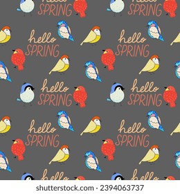 Hello spring. Hand drawn of Colorful cute birds, seamless pattern.