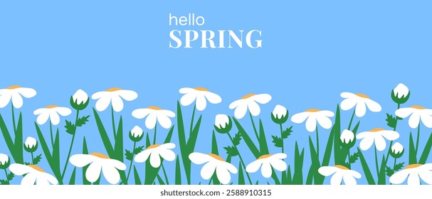 Hello Spring. Hand drawn daisies on blue background, spring banner. Fashion spring cover concept.