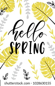 Hello Spring hand drawn lettering and flowers. Greeting card design on a white background. Vector illustration.