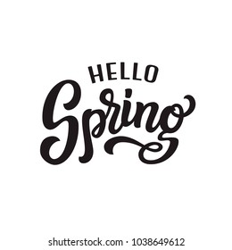 Hello Spring. Hand drawn lettering. Vector typography