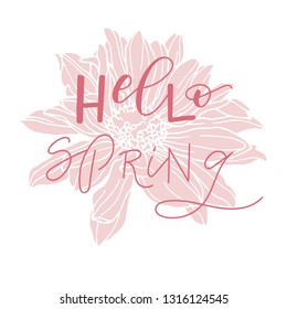 Hello Spring hand drawn lettering. Modern brush calligraphy with pink flower vector. Phrase for card or poster. Vector (EPS10) quote great for photo overlay. Ink illustration. Original hand lettering.