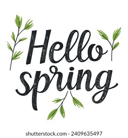 Hello Spring. Hand drawn lettering isolated on white background. Vector illustration.