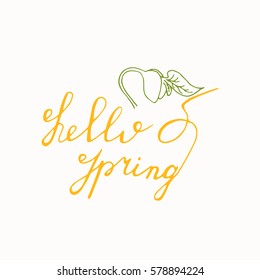 Hello Spring hand drawn lettering with sprout icon. Vector greeting card.