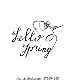 Hello Spring hand drawn lettering with sprout icon. Vector greeting card.
